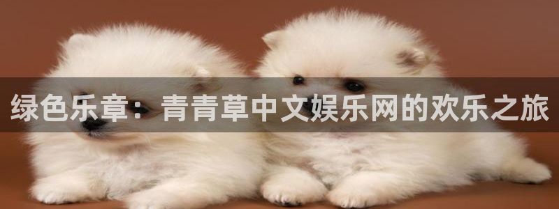 卧龙娱乐