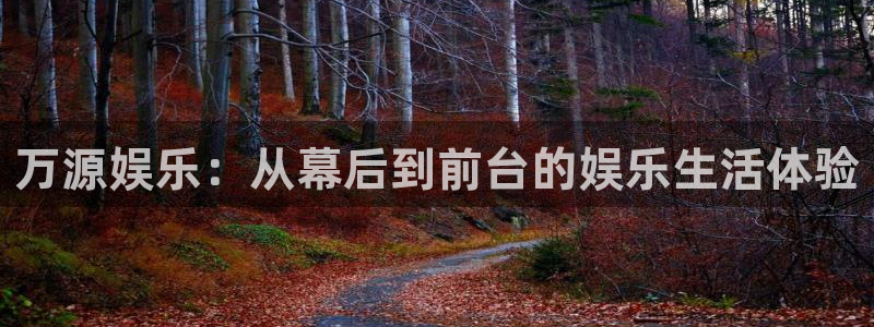卧龙娱乐登录入口