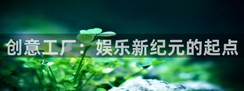 卧龙娱乐登录入口