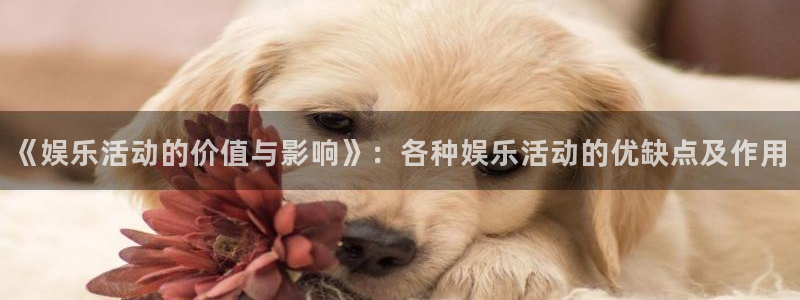 卧龙娱乐怎么样